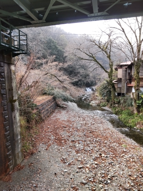 DSC_2482 Em.JPG