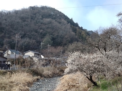 DSC_2485 @~m.JPG