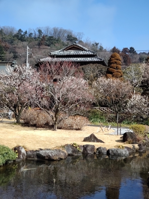 DSC_2487 ؖ뉀m.JPG