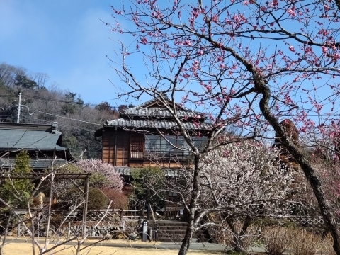 DSC_2488 ؖ뉀m.JPG