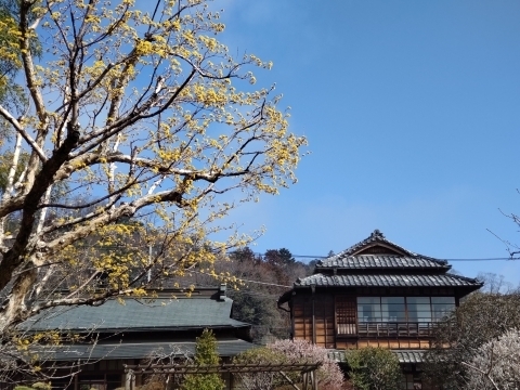 DSC_2489 ؖ뉀m.JPG