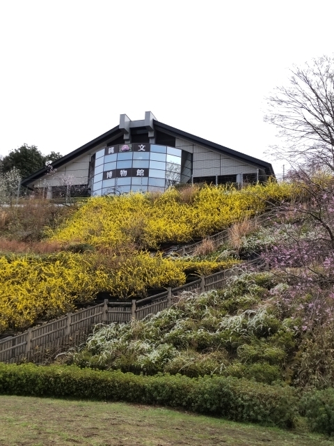 DSC_2639 ꕶm.JPG