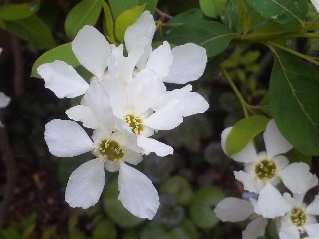 DVC00226.jpg