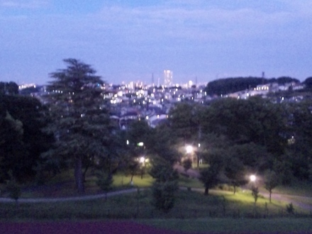 DVC00958 (440x330).jpg