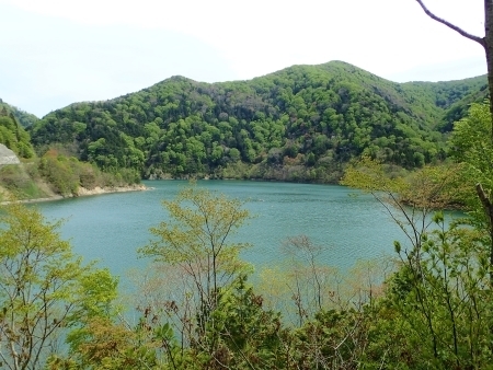 下北　かわうち湖m　P5035205 (2).jpg