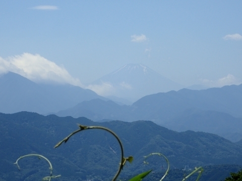富士山P6259450.JPG