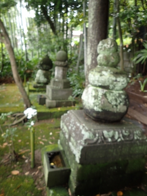 鎌倉 常楽寺 墓所P6078742.JPG