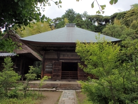 鎌倉 常楽寺P6078754.JPG