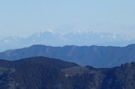 P1129925 (440x293).jpg