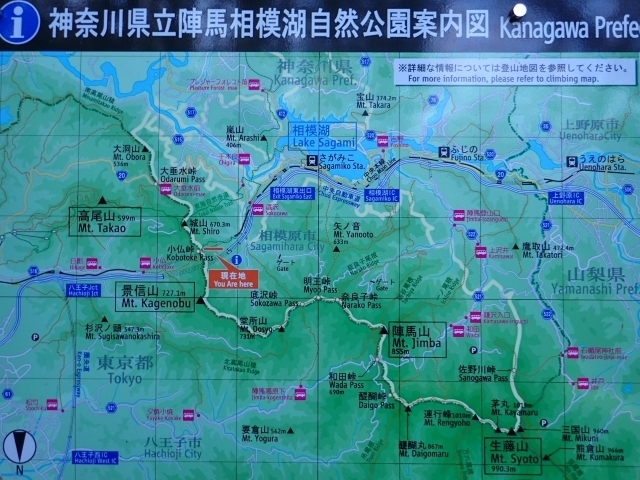 P1149770 wn͌Έē}ml.JPG