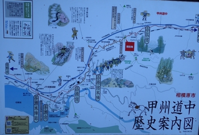 P1149772 bB@ē}ml.JPG