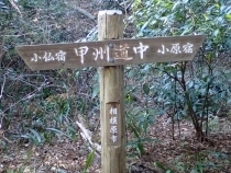 P1149775 @Ws.JPG