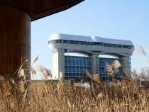 P1159844 c 炻s.JPG