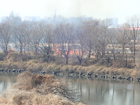 P1159855 nmLm.JPG