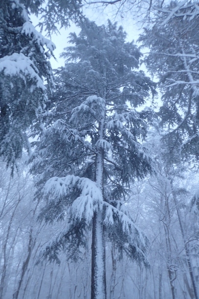 P1220001 (407x610).jpg