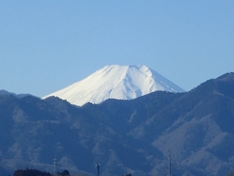 P1229908 xmRm.JPG