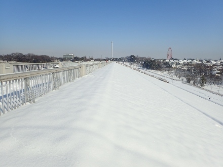 P1230065 (440x330).jpg