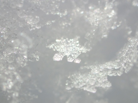 P1230070雪の結晶 (440x330).jpg
