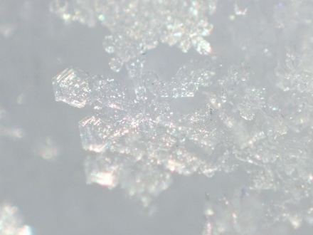P1230087雪の結晶 (440x330).jpg