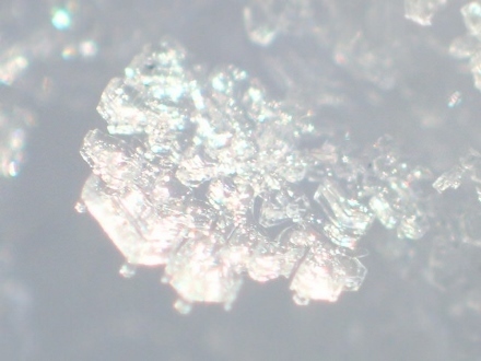 P1230090雪の結晶 (440x330).jpg