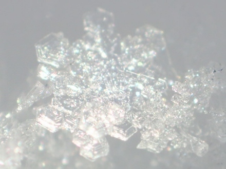 P1230091雪の結晶 (440x330).jpg