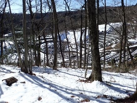 P1240115 (440x330).jpg