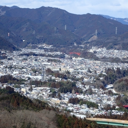 P1240144 (440x440).jpg