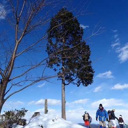 P1240149 (440x440).jpg