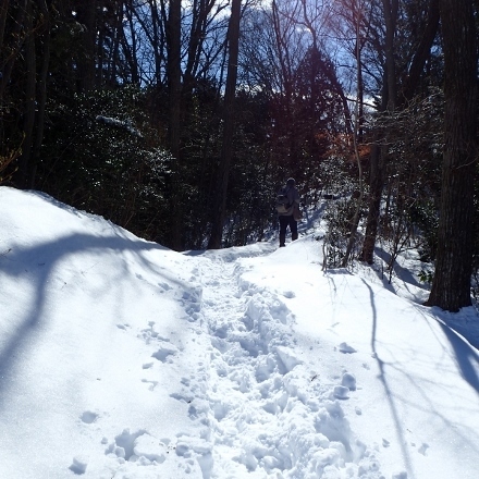 P1240159 (440x440).jpg