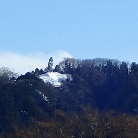 P1240180 (440x440).jpg