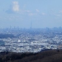 P1240188 (210x210).jpg