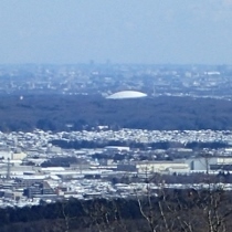 P1240189 (210x210).jpg