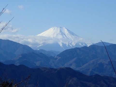 P1273433 高尾山 富士山m.jpg
