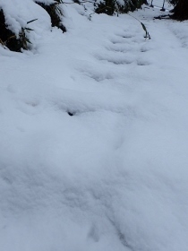 P2020337 (210x280).jpg