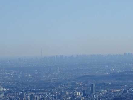 P2060413スカイツリー (440x330).jpg