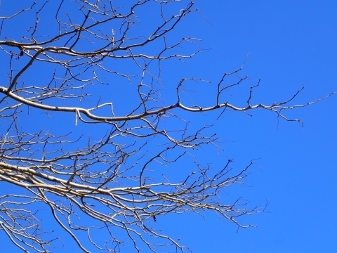P2240139 z@TCJ`m.JPG