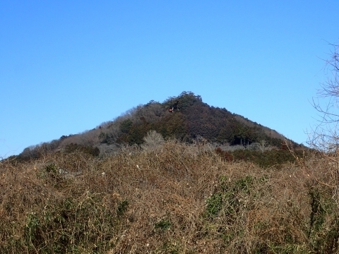 P2240164 z@O@Rm.JPG