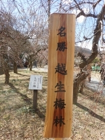 P2240208 z~s.JPG