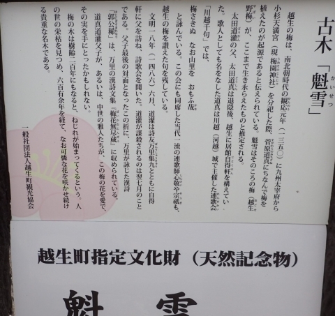 P2240222 z~ @m.JPG