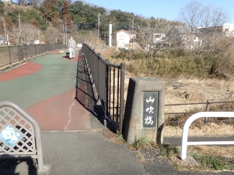 P2240239 z Rm.JPG