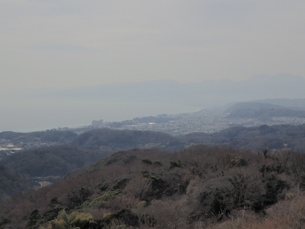 P2281152 (440x330).jpg