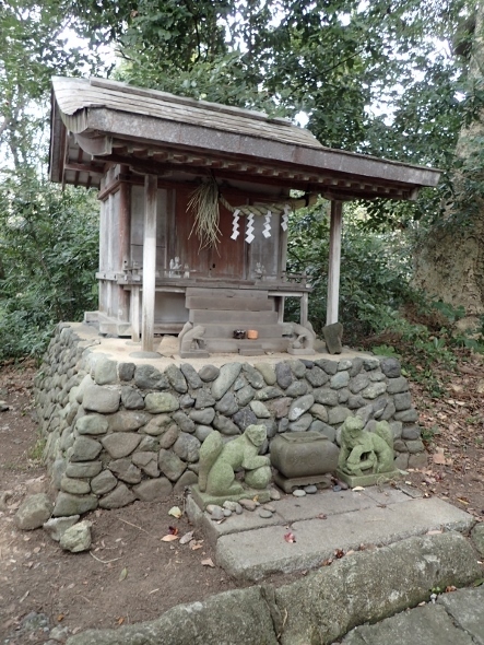 P2281161 (443x590).jpg