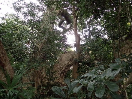 P2281163 (440x330).jpg