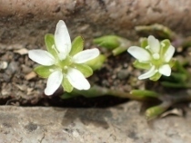 P2281206 (210x158).jpg