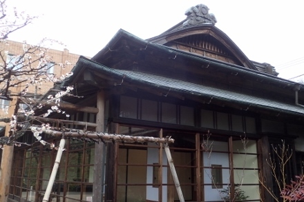 P3010011高尾駒木野庭園 (440x293).jpg