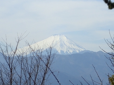 P3021305富士山 (440x330).jpg