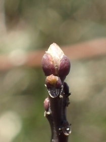 P3021321 (210x280).jpg
