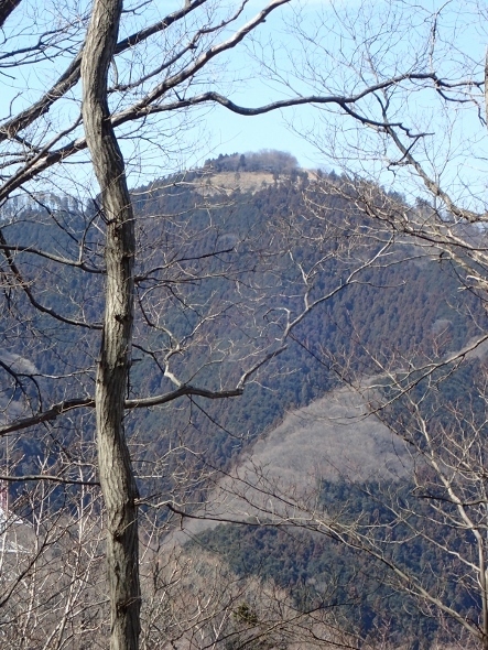 P3021323高尾山頂 (443x590).jpg