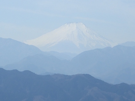 P3031389 (440x330).jpg