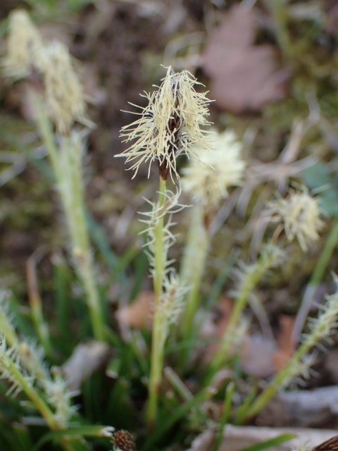 P3140427 qJXQm.JPG